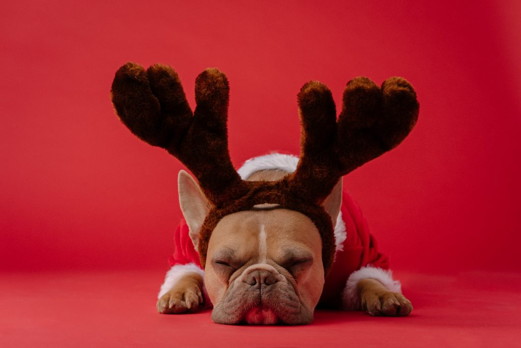 christmas traditions